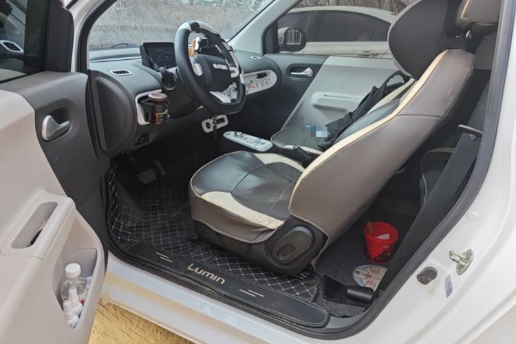 Used Qiyuan Lumin 2023 205km Xiangqin Version
