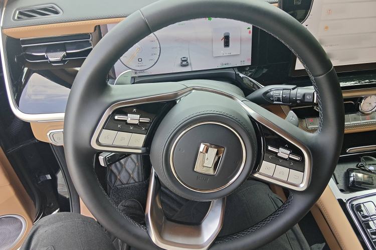 Used Tank 500 New Energy 2024 Hi4-T
