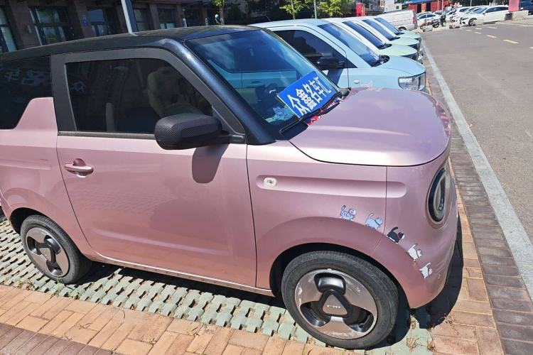 Used  Panda 2023 Panda Mini 200km Dynamic Bear
