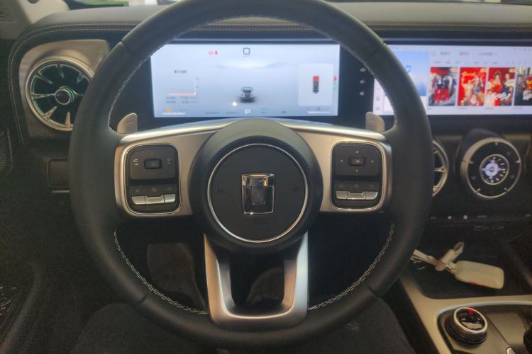 Used Tank 300 2024 2.0T Crosser