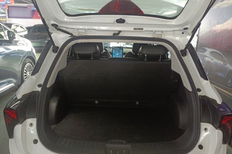 Used NETA V 2022 Chao 300 Lite Lithium Iron Phosphate
