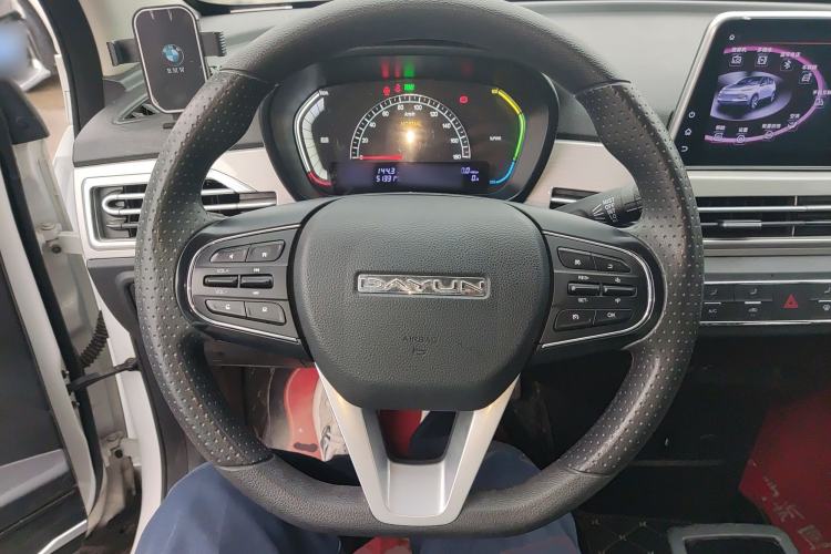 Used Dayun Yuehu 2022 30.66 kWh Two-Wheel Drive Standard Version