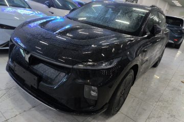 Used VOYAH COURAGE 2024 Four-Wheel Drive Global Edition