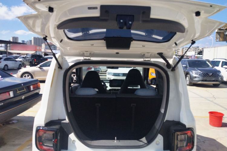 Used  Panda 2023 Panda Mini 200km Endurance Bear
