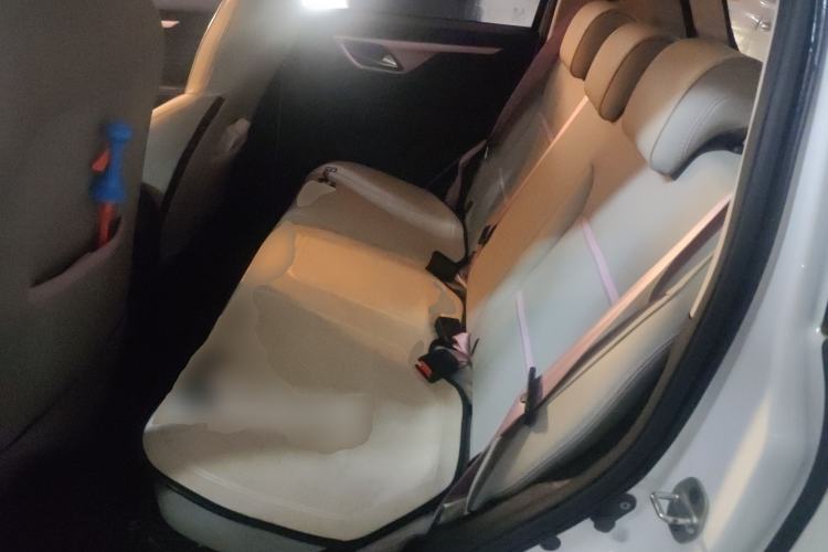 Used SOL E10X 2022 Flower Fairy Design Four-Leaf Clover
