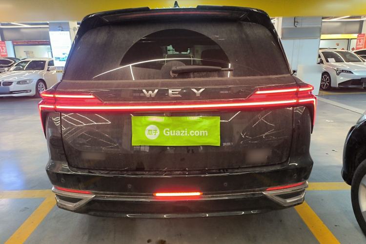 Used Wey Lanshan 2023 Four-Wheel Drive Ultra-Long Range Version
