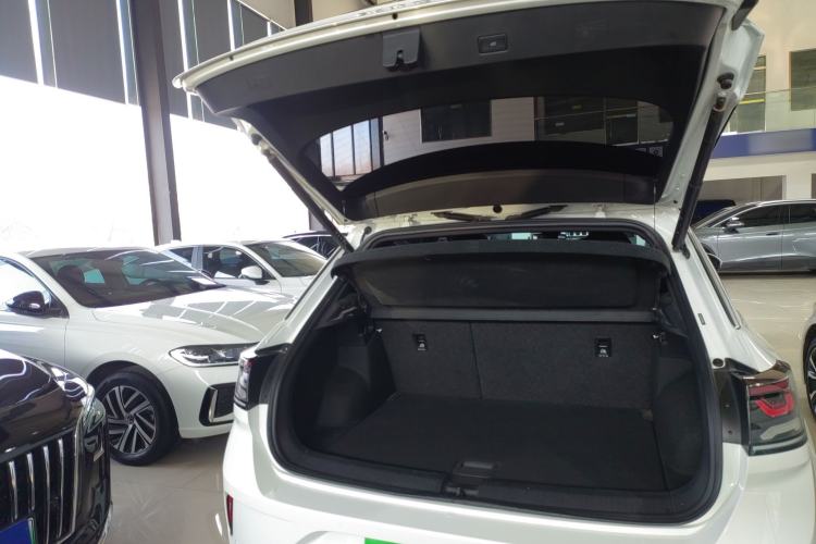 Used Volkswagen T-ROC 2024 300TSI DSG Two-Wheel-Drive Chen Guang Edition
