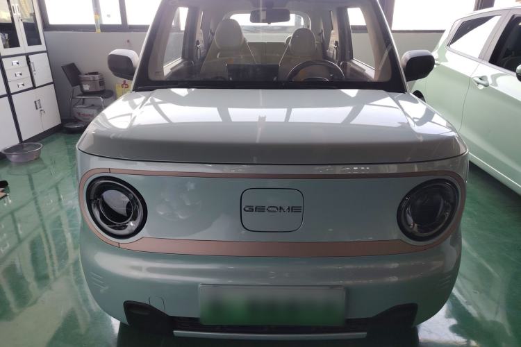 Used  Panda 2024 Panda Mini 200km Endurance Bear

