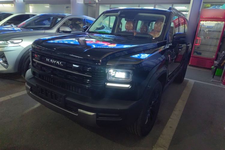 Used Haval Raptor New Energy 