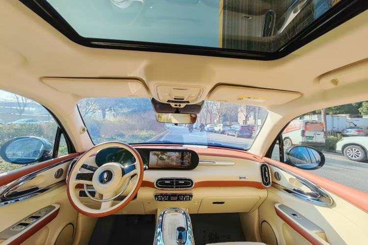 Used ORA Ballet Cat 2023 401 km Luxury Version
