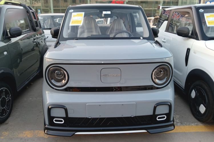 Used  Panda 2025 210km Panda Kart