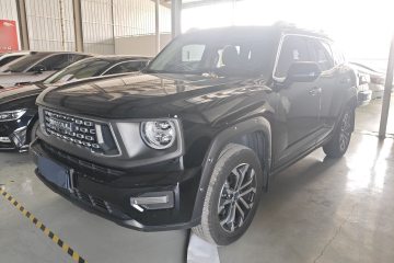 Used Haval H Dog 2023 2.0T Two-Wheel Drive Chaoye Version Plus