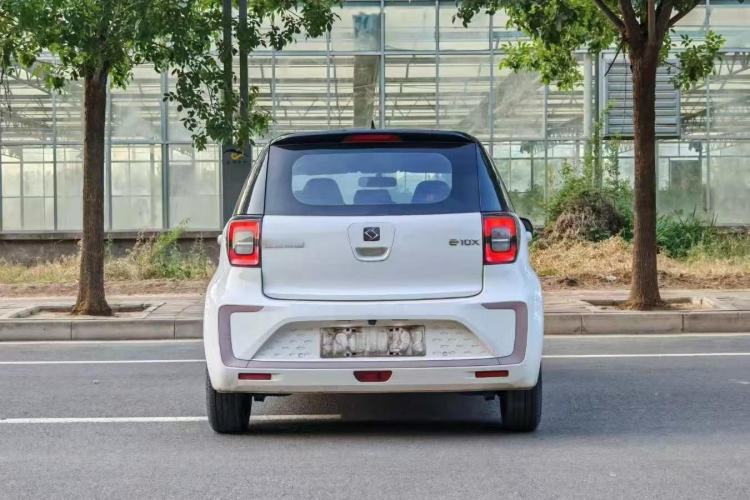 Used SOL E10X 2022 Flower Fairy Design Four-Leaf Clover
