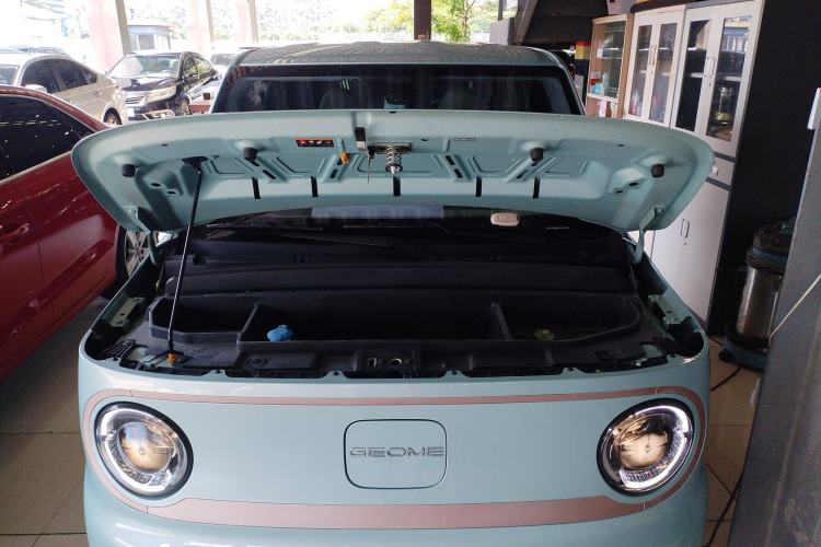 Used  Panda 2023 Panda Mini 200km Endurance Bear
