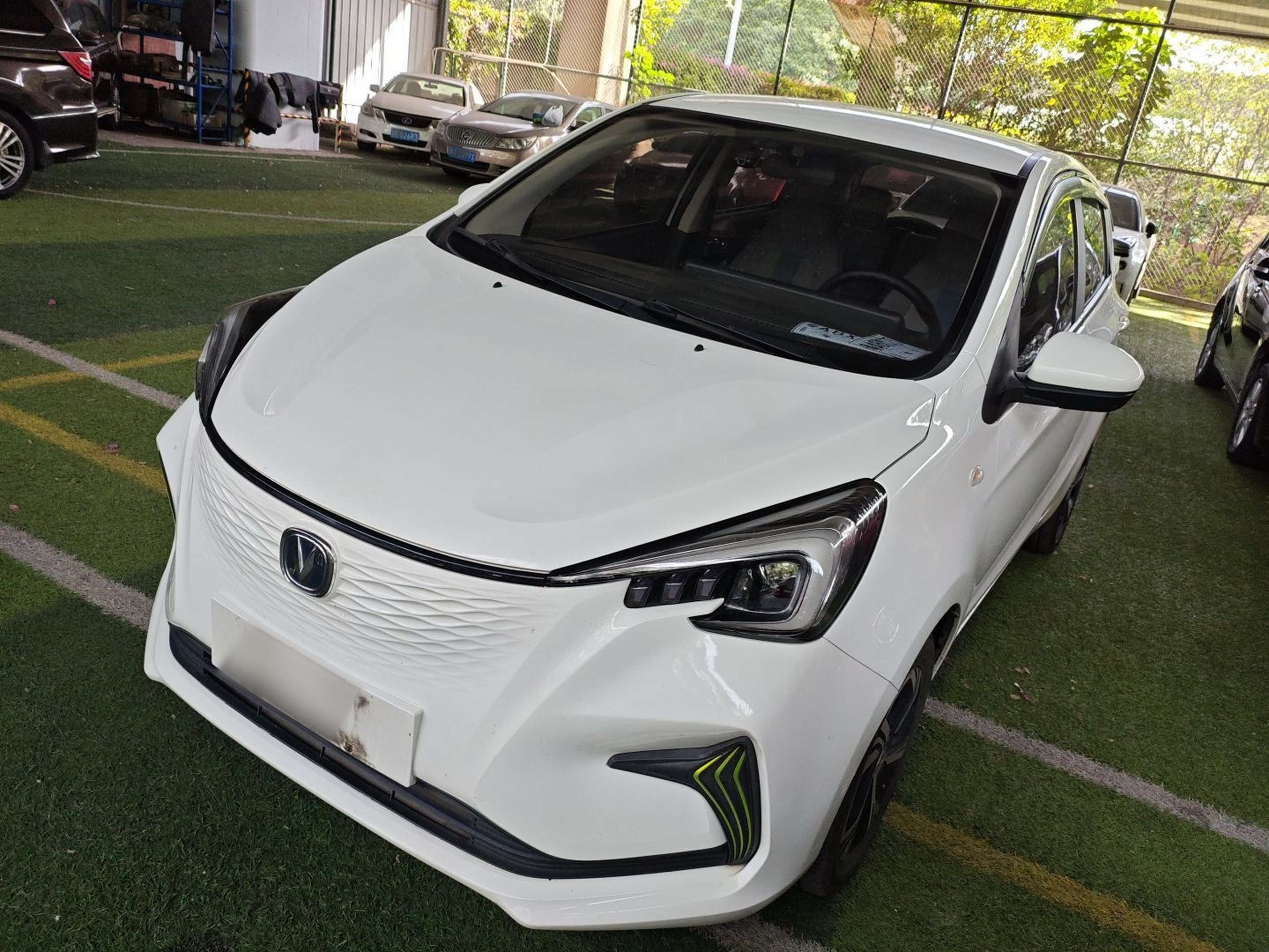 تحت مقدمة السيارة