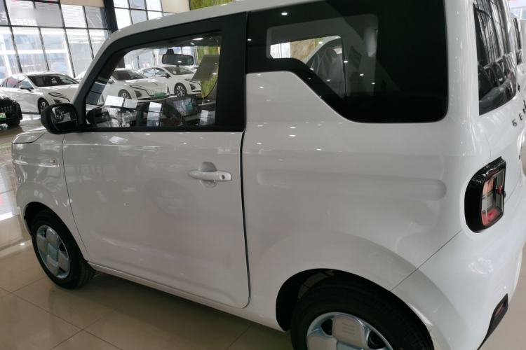 Used  Panda 2024 Panda Mini 200km Endurance Bear
