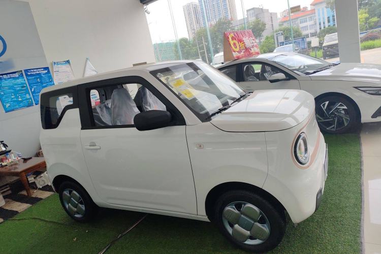 Used  Panda 2024 Panda Mini 200km Endurance Bear
