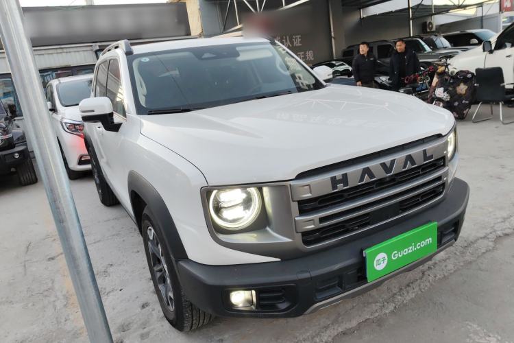 Used Haval DARGO 2024 2.0T DCT Chinese Rural Dog Edition
