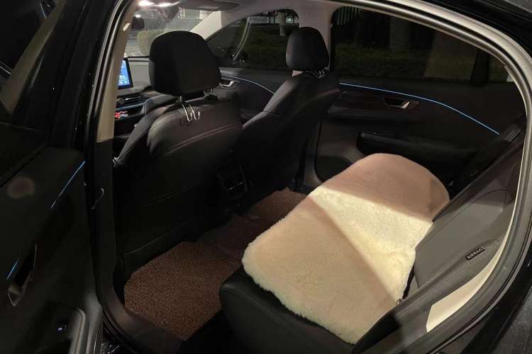 Used Hongqi E-QM5 2023 Revised Version Basic Travel Edition
