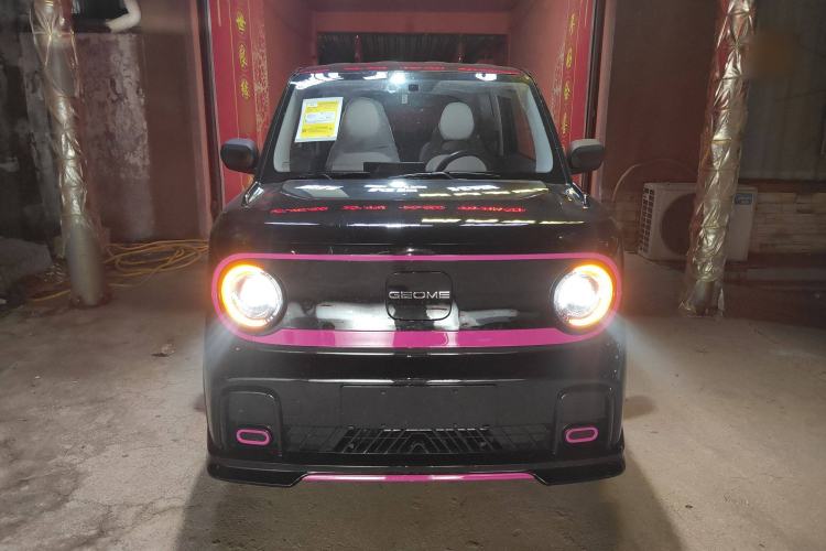 Used  Panda 2025 210km Panda Kart