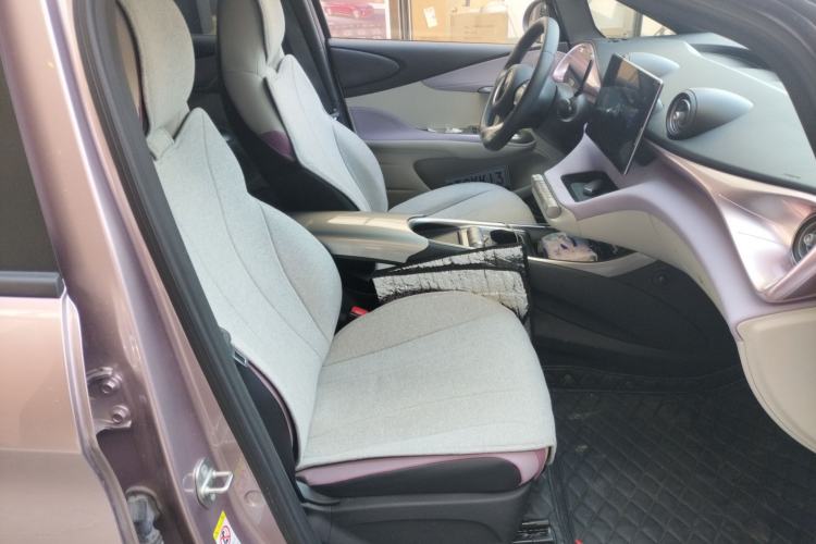 Used BYD Dolphin 2021 405 km Free Version
