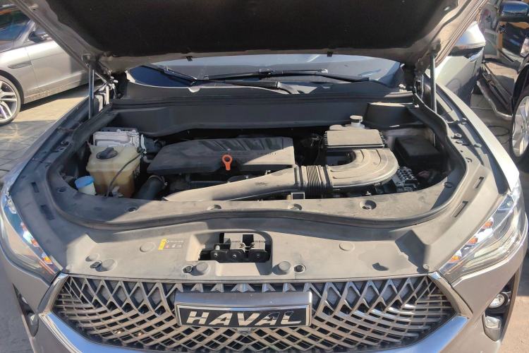 Used Haval F7 2021 1.5T Two-Wheel Drive i-Trend
