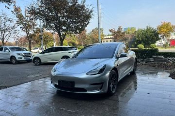 Used Tesla Model 3 2021 Standard Range Rear-Wheel Drive Upgraded Version 3D6