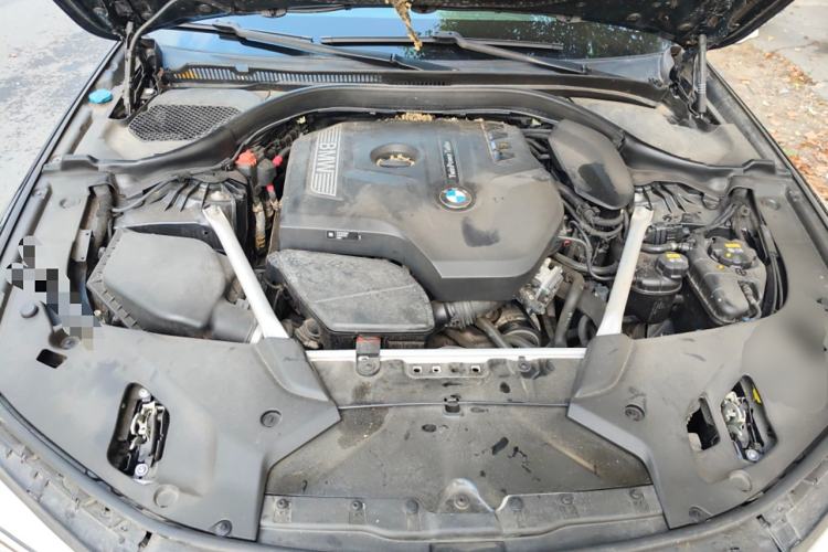 Used BMW 5 Series 2020 530Li xDrive M Sport Package
