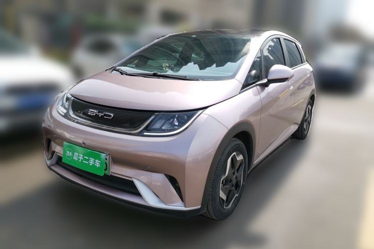 Used BYD Dolphin 2021 405 km Free Version