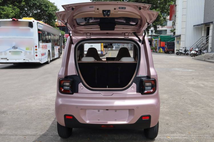 Used  Panda 2024 Panda Mini 200km Endurance Bear
