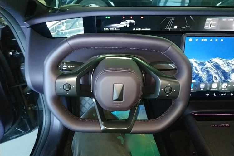 Used  06 2025 Max Extended-Range Edition
