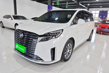 Used Buick GL8 2023 ES Lu Zun Deluxe Model