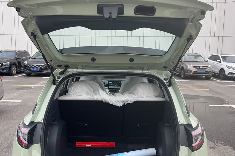 Used  Geome 2025 310km Youth Edition
