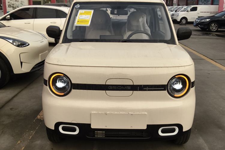 Used  Panda 2025 210 km – Yuanqi Bear