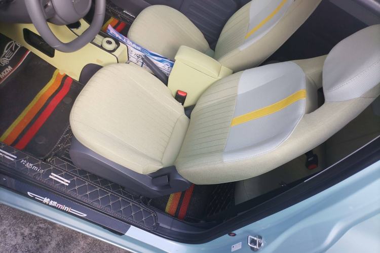 Used  Panda 2024 Panda Mini 200km Dragon Edition
