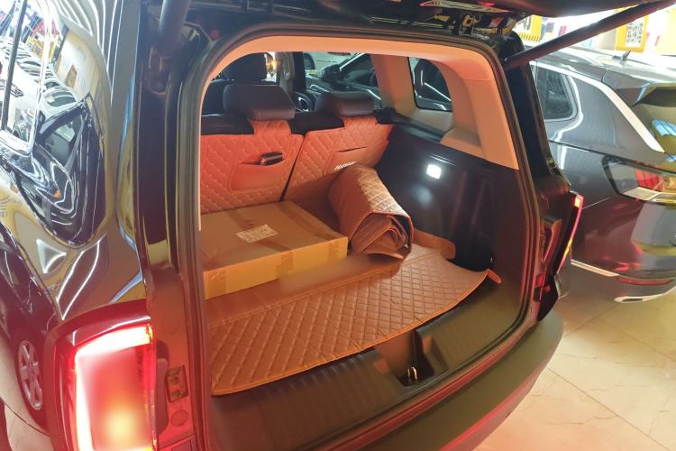 Used Haval DARGO 2024 2.0T DCT Chinese Rural Dog Edition
