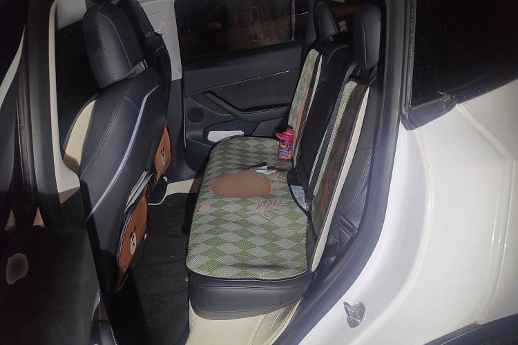 Used Tesla Model Y 2021 Standard Range Rear-Wheel Drive Version
