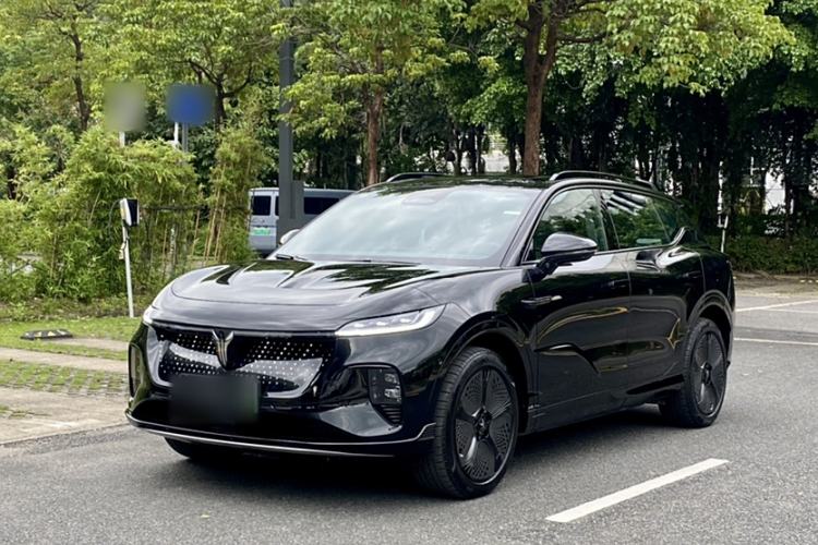 Used VOYAH COURAGE 2024 Four-Wheel Drive Global Edition
