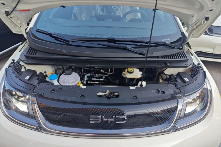 Used BYD Dolphin 2025 420km Free Edition