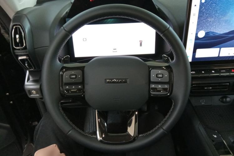 Used Haval H Dog 2023 2.0T Two-Wheel Drive Chaoye Version Plus