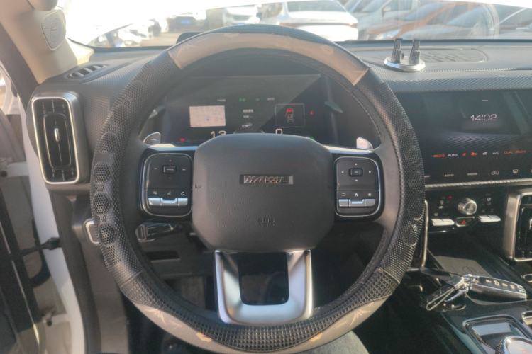 Used Haval DARGO 2021 2.0T DCT 4x4 Chinese Rural Dog Edition
