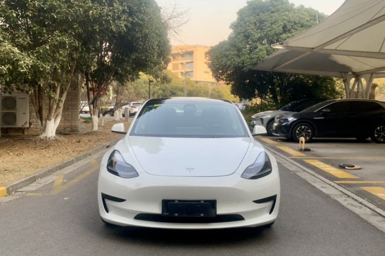 Used Tesla Model 3 2021 Revised Version Standard Range Rear-Wheel Drive Upgraded Edition 3D1