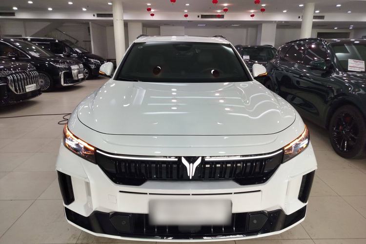 Used VOYAH FREE 2025 318 318 km Rear-Drive Touring Edition
