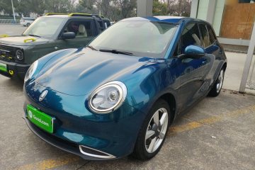 Used ORA Good Cat 2021 400km Standard Range Venus Edition Lithium-Ion Battery