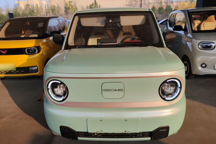 Used  Panda 2023 Panda Mini 200km Endurance Bear
