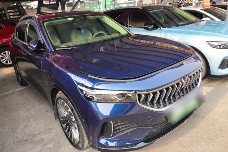 Used VOYAH FREE 2021 Four-Wheel Drive Standard Range-Extended Exclusive Luxury Package
