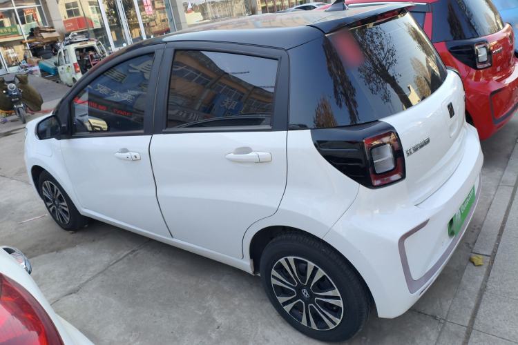 Used SOL E10X 2022 Flower Fairy Design Four-Leaf Clover