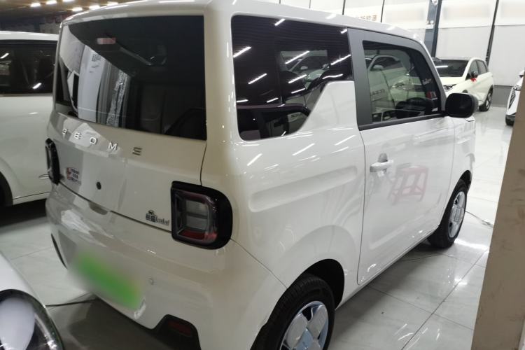 Used  Panda 2024 Panda Mini 200km Endurance Bear