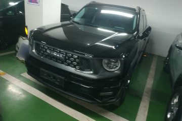 Used Haval H Dog 2023 2.0T Two-Wheel Drive Chaoye Version Plus