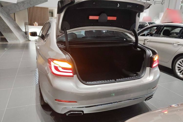 Used BMW 5 Series 2019 530Li Luxury Edition Premium Package
